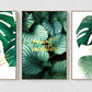 Three piece plant wall prints in floating frame, modern minimalist framed botanical artwork, original green printable set of 3 canvas arts