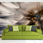 Dandelion wall art Floral wallpaper Peel and stick wallpaper Photo wallpaper Textured wallpaper Botanical removable wallpaper dark wallpaper